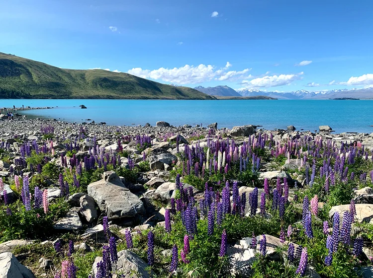 New Zealand